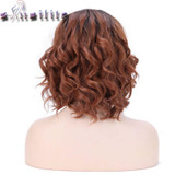 S-noilite Natural Hairline Glueless Heat Resistant Fiber Ombre Hair Wigs for Women Swiss Body Wave Synthetic Lace Front Wig