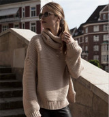 2017 Autumn Solid Turtleneck Women Sweaters and Pullovers Plus Size New Fashion Casual Pullover Sweater Women Tops