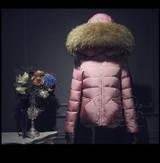 2017 Winter Jacket Women Down jackets Real fur Hooded down coat Women's short outerwear Thicken 90%Duck down coats parka