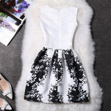 2017 New Summer Casual Dresses Women Sleeveless Vest Dress Lady Floral Print O Neck A Line Party Short Slim Dress Vestidos