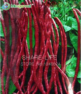 Red Bean Seeds Chinese Vegetable, DIY Home Garden Bonsai Plant Seeds - 20PCS