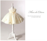 2017 Summer New Girl Dresses Baby Girls Princess Dress 0-2 Years Chlidren Clothes Kids Party Costume Ball Gown For Wedding