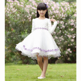 Flower Girl Dress For Weddings 2017 Pageant Ball Gowns White Lace Autumn Long Sleeve First Communion Dresses For Girls