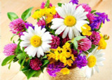 Flower arranging 5D DIY diamond Painting flowers  Cross Stitch diamond embroidery mosaic diamonds wall stickers home decor vase