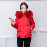 2017 winter coat women outwear short womens clothing solid jacket with hooded fur collar female parka winter jacket women