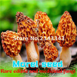2017 Wholesale 100 Pcs / Bag Morel Seeds Organic Mushroom Vegetable Seed Diy Garden * Jardin Interest Bonsai Plants Sementes