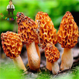 2017 Wholesale 100 Pcs / Bag Morel Seeds Organic Mushroom Vegetable Seed Diy Garden * Jardin Interest Bonsai Plants Sementes