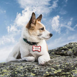 Engraved Pet Dog Tags Custom Cat ID Name Tags for Pets Personalized Paw Bone Shape FREE Gift S L