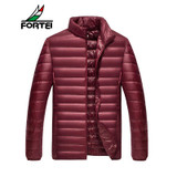 FORTEI 2017 Brand New Men Down Coat Jacket Ultralight Color Fashion Down Coat Men jacket Men Casual Autumn Warm Coat Men