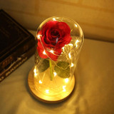 Enchanted Rose Flower Lamp