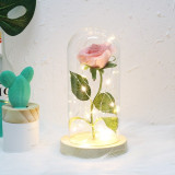 Enchanted Rose Flower Lamp