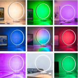 Modern Multicolor Dimmable 1 Ring LED Table Lamp