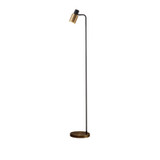 Modern Black and Gold Nordic Floor Lamp