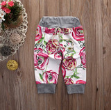 2016 Cute Floral Baby Girl Clothes Autumn Infant Bebes Hooded Sweatshirt Top+ Pant 2pcs Outfit Bebek Giyim Clothing Set 2016 Cute Floral Baby Girl Clothes Autumn Infant Bebes Hooded Sweatshirt Top+ Pant 2pcs Outfit Bebek Giyim Clothing Set