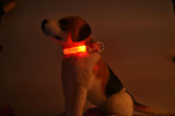 2016 Camo Led Pet Dog Collar Night Flashing Dog Cat Collars Light up Dog Collar Led Light USB Rechargeable