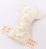 JinoBaby Fruit Aio Reusable Cloth Diapers - Modern Diapers aio Best Care for Baby