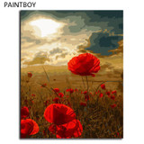 Poppy Flower DIY Oil Painting By Numbers Frameless Pictures Digital Canvas Oil Painting Home Decor Living Room G448