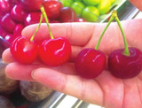 Sale!2016 Asian Rare Cherry Seeds Fruit Seeds 10pcs/pack Bonsai Seeds Free Shipping