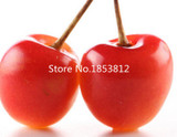 Sale!2016 Asian Rare Cherry Seeds Fruit Seeds 10pcs/pack Bonsai Seeds Free Shipping