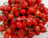 Sale!2016 Asian Rare Cherry Seeds Fruit Seeds 10pcs/pack Bonsai Seeds Free Shipping