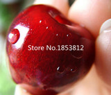 Sale!2016 Asian Rare Cherry Seeds Fruit Seeds 10pcs/pack Bonsai Seeds Free Shipping