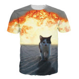 Alisister 2017 New 3d Cat T Shirt Printed Animal T-shirt Women Men Funny Clothing Harajuku Tee Shirt Casual Unisex 3d T Shirt Alisister 2017 New 3d Cat T Shirt Printed Animal T-shirt Women Men Funny Clothing Harajuku Tee Shirt Casual Unisex 3d T Shirt