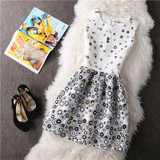 New A-Line dress for Women teenagers butterfly print sleeveless Ladies princess party dress 2017 Women dress vestidos