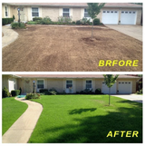 Biodegradable Grass Seed Mat