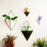 Plant Wall Hanger with Stylish Pot Design and Iron Holder