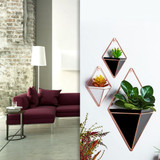 Plant Wall Hanger with Stylish Pot Design and Iron Holder