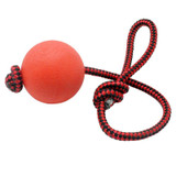 New Dog Toys Rubber Ball With Rope Treat Dispenser Pet Toy Dog Chew Bite Training Ball Toys Free Shipping In Vovotrade