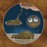DIY magic Plasticine putty of thinking soil clay Ferrofluid sillly putty bounce mud with eyes novelty Toy for kids