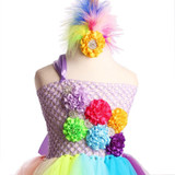 Rainbow Baby Girls Fancy Tutu Dress Holiday Flower Fluffy Baby Dress with Headband 1st Birthday Photo Costume TS092