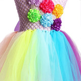 Rainbow Baby Girls Fancy Tutu Dress Holiday Flower Fluffy Baby Dress with Headband 1st Birthday Photo Costume TS092