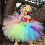 Rainbow Baby Girls Fancy Tutu Dress Holiday Flower Fluffy Baby Dress with Headband 1st Birthday Photo Costume TS092
