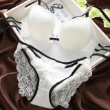 Lace transparent bra romantic temptation lace bra set young women underwear set push up bra and panty set