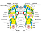 KONGDY 1Pair Foot Massage Slipper Foot Acupoint Slipper Foot Care Shoes Pain Relief Promote Blood Circulation Relaxation