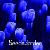 Big Sale, 10 PCS/bag bonsai seeds, high-grade plant tulip seeds, 19 flower seed variety selection,#N67AAE