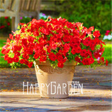 Big Promotion! 100 Seeds A Lot Hanging Petunia Mixed Seeds Rare Flower Seeds DIY Home Garden plant Easy to Grow