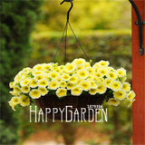 Big Promotion! 100 Seeds A Lot Hanging Petunia Mixed Seeds Rare Flower Seeds DIY Home Garden plant Easy to Grow