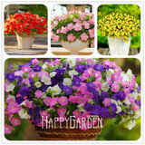 Big Promotion! 100 Seeds A Lot Hanging Petunia Mixed Seeds Rare Flower Seeds DIY Home Garden plant Easy to Grow