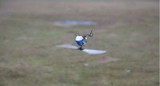 Hot sale WLtoys V977 Power Star X1 6CH 2.4G Brushless With Remote Control Toy Rc Helicopter