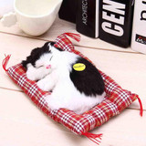 Stuffed Toys Lovely Simulation Animal Doll Plush Sleeping Cats Toy with Sound Kids Toy Decorations Birthday Gift For Children Stuffed Toys Lovely Simulation Animal Doll Plush Sleeping Cats Toy with Sound Kids Toy Decorations Birthday Gift For Children