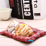Stuffed Toys Lovely Simulation Animal Doll Plush Sleeping Cats Toy with Sound Kids Toy Decorations Birthday Gift For Children Stuffed Toys Lovely Simulation Animal Doll Plush Sleeping Cats Toy with Sound Kids Toy Decorations Birthday Gift For Children