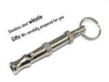 Strong Silver Gold Stainless Steel Slip Dog Collar Metal Dogs Training Choke Chain Collars With Free Whistle