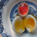 Color Changing Egg Timer Perfect Boiled Eggs By Temperature Kitchen Helper