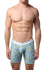 Male Basics Nuts & Bolts Hipster Boxer Brief