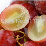 Hot Selling 20pcs/lot Rare Species Grape Seeds Giant Red Grapes Bonsai Fruit Seeds DIY Home Garden Potted Plant Fruit Tree