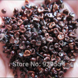 Hot selling 20pcs mixed cactus (Astrophytum) plants succulents plants seeds DIY home garden free shipping