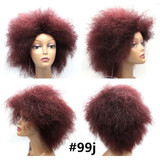Feibin Afro Short Wig For Black Women Full Head Kinky Curly Hair 12inch bz01 Free Shipping